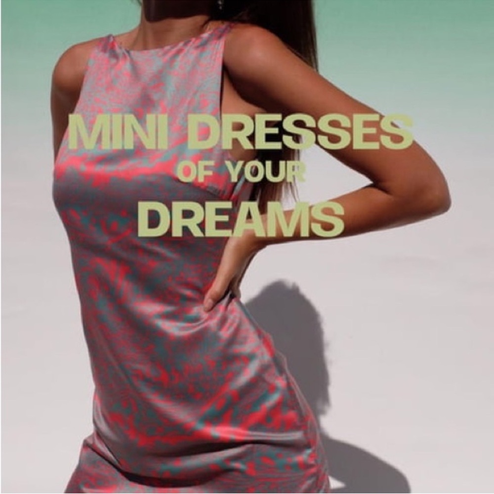 Inamorata zebra Pink and Blue Mini Dress